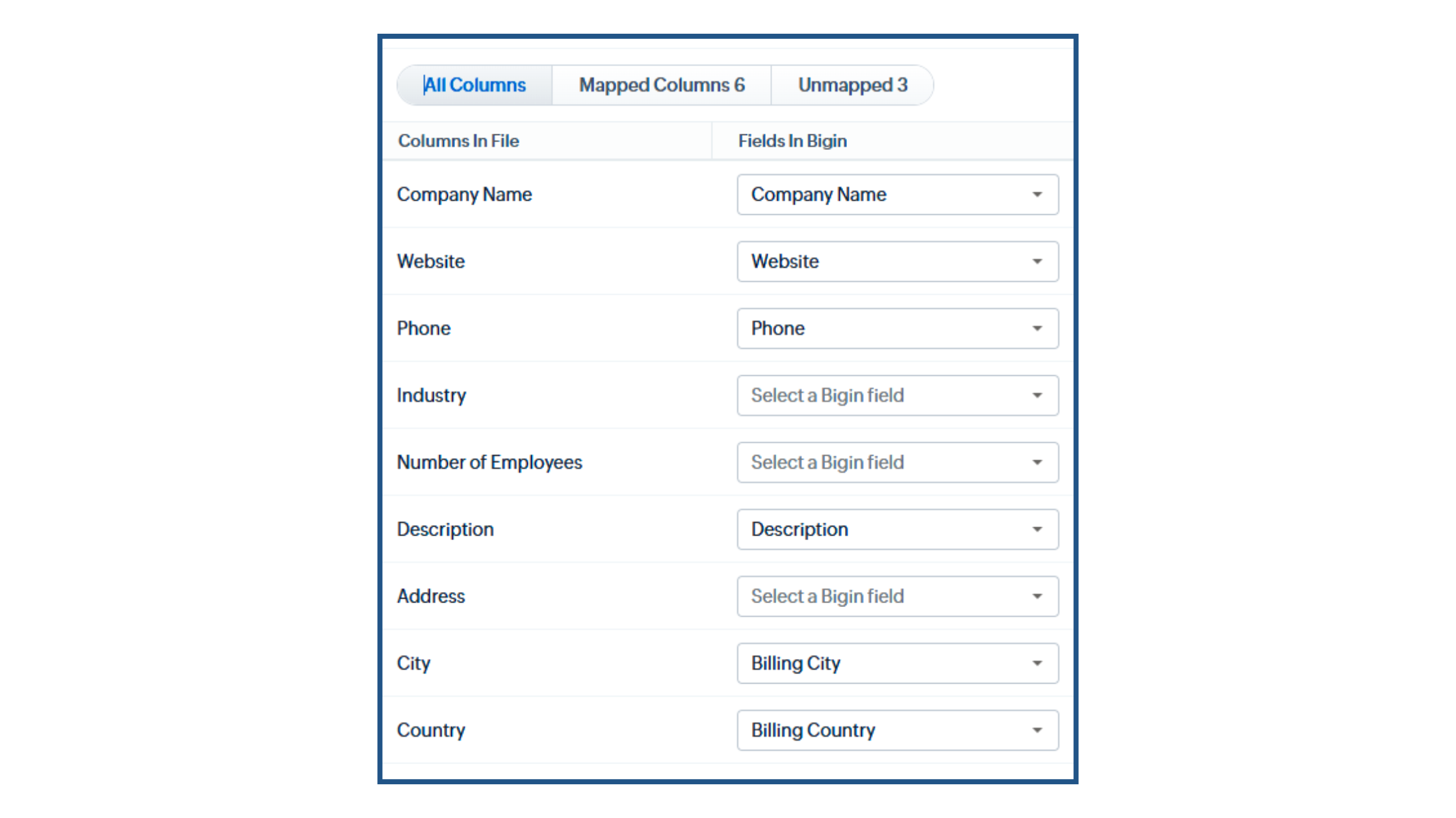 How to Import Data from Excel into Bigin - Match columns to fields